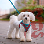 rabbitgoo Dog Harness Small Sized and Leash Set, Step-in Breathable Pet Harness, Soft Walking Reflective Puppy Vest for Small Dogs, Red & Teal, L