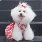 CuteBone Dog Christmas Dress Girl Puppy Birthday Skirt Tutu Cat Wedding Outfit Pet Party Clothes for Small Dogs Costume DD09L