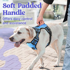 rabbitgoo Dog Harness Small Sized Dog, No Pull Pet Harness with Soft Padded Handle, Adjustable Reflective Vest with 3 Buckles, Easy Walking Harness with 2 Leash Clips, Light Blue, S