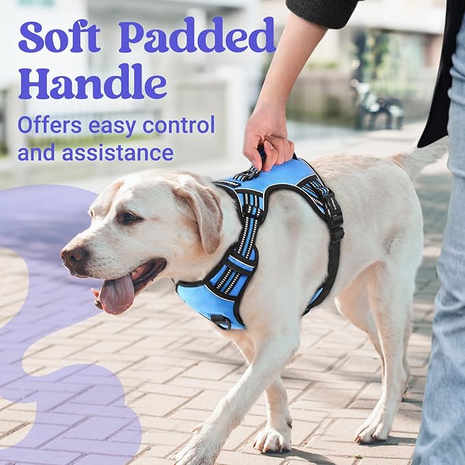 rabbitgoo Dog Harness Small Sized Dog, No Pull Pet Harness with Soft Padded Handle, Adjustable Reflective Vest with 3 Buckles, Easy Walking Harness with 2 Leash Clips, Light Blue, S
