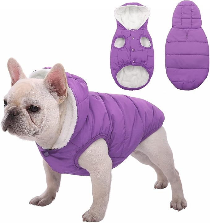 Windproof Waterproof Dog Coat Fleece & Cotton Lined Warm Jacket, Cold Weather Pet Apparel Clothes Vest for Small to Large Dogs (L, Purple)