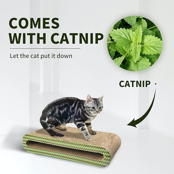 PAWISE Cat Scratcher – Reversible Cardboard Scratching Pad, Durable Cat Scratch Bowl & Bed, Interactive Scratcher for Indoor Cats & Kittens (17.7X8)