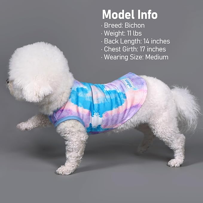 KYEESE 2Pack Dog Cooling Shirt, Breathable Dog Shirt for Small Dogs, Sun Protection Dogs Cooling Vest Tank Top, Lightweight Soft Sleeveless Summer Pet Clothes, Purple+Blue, L
