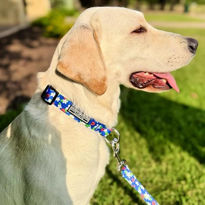 Lucky Love Dog - Adjustable Dog Collar with Easy Click Buckle for Medium, Durable, & Comfortable for Male & Female Dogs, Pet Collar for Puppies & Adult Dogs - Lilian, Medium