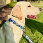Lucky Love Dog - Adjustable Dog Collar with Easy Click Buckle for Small Dogs, Durable, & Comfortable for Male & Female Dogs, Pet Collar for Puppies & Adult Dogs - Lilian, Small