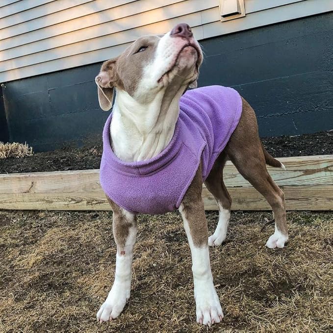 Gooby - Stretch Fleece Vest, Pullover Fleece Vest Jacket Sweater for Dogs, Lavender, Large