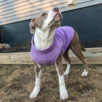 Gooby Stretch Fleece Vest Dog Sweater - Lavender, X-Small - Warm Pullover Super Stretchy Fleece Dog Jacket for Small to Large Dogs