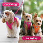 rabbitgoo Small Dog Harness, Step-in Soft Mesh Puppy Vest with Safety Buckle, Breathable Reflective Pet Harness for Extra Small Dogs, Rose Red XXS