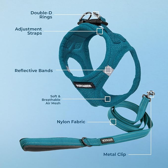 Best Pet Supplies Voyager Step-in Air All Weather Mesh Harness and Reflective Dog 5 ft Leash Combo with Neoprene Handle, for Small, Medium and Large Breed Puppies - Set (Turquoise), S