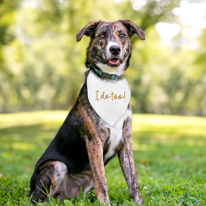 Dog Wedding Engagement Bandana Apparel & Accessories Pet Bandana Scarf Photo Prop I Do Too! Wedding Outfit Funny Engagement Party Decorations Gifts