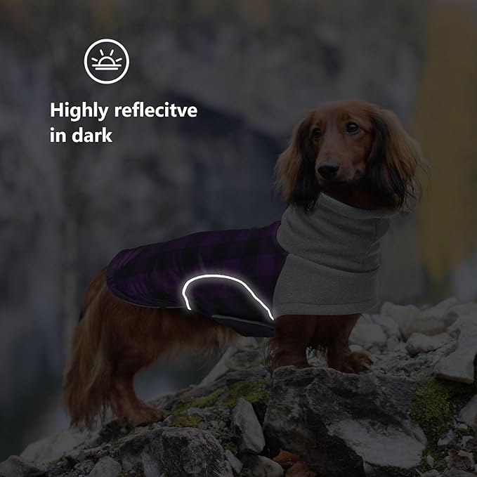 Dog Winter Coat,Dachshund Clothes,Waterproof Miniature Dachshund Jacket with Harness Hole,Dachshund Jumper with Turtle Neck,British Style-Purple Plaid-L