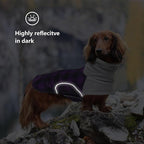 Dog Winter Coat,Dachshund Clothes,Waterproof Miniature Dachshund Jacket with Harness Hole,Dachshund Jumper with Turtle Neck,British Style-Purple Plaid-M