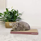 AMZNOVA Cat Scratcher Rescratch Cat Scratching Board, Scratching Pad with Catnip for Indoor, Flat Cardboard Scratcher Scratch Board for Kitten, Narrow, Wood Floor Print