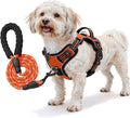 No Pull Dog Harness and Leash Set for Small Dogs – Adjustable Reflective Breathable Soft Padded Easy Control Dog Harness for Training & Walking, Orange (Small)