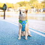 PHOEPET No Pull Dog Harness, Unique Colors Reflective Adjustable Dog Vest, with Soft Training Handle Metal Clips for Small Medium Large Dogs (Blue Base & Green Straps,S)