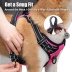 PoyPet No Pull Dog Harness, Reflective Comfortable Vest Harness with Front & Back 2 Leash Attachments and Easy Control Handle Adjustable Soft Padded Pet Vest for Small to Large Dogs (Pink,XL)