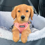 Best Pet Supplies Voyager Adjustable Step-in Flex Breathable Mesh Dog Harness for Small Medium Large Dogs (Pink), L