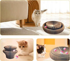 Magic Organ Cat Scratching Board & Interactive Toy Set - Durable Cardboard Scratcher with Scratching Ball for Indoor Cats - Mental & Physical Exercise for Kittens & Adult Cats