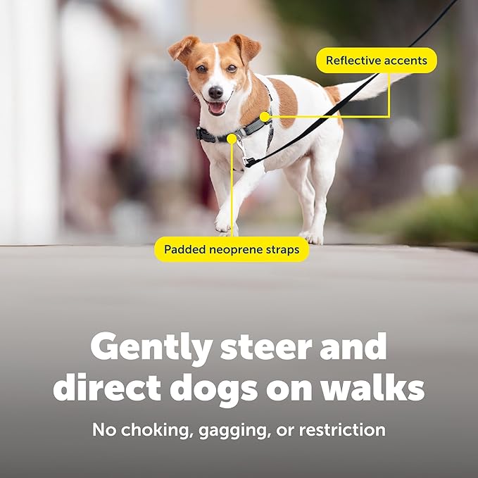 PetSafe Deluxe Easy Walk Harness - Trainer-Trusted Dog Chest Harness with Breathable Martingale Loop Design - Helps Stop Pulling with No Choking & Gagging - Small - Ocean