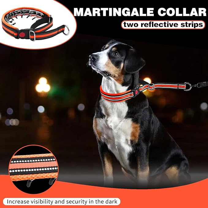Martingale No Pull Dog Collar for Large Medium Small Dogs, Heavy Duty Nylon Adjustable Reflective Anti Pull Slip Collar with Buckle for Training Walking Hunting L Orange