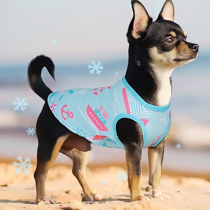 KYEESE 2Pack Dog Cooling Shirt, Breathable Dog Shirt for Small Medium Dogs, Sun Protection Dogs Cooling Vest Tank Top, Lightweight Soft Sleeveless Summer Pet Clothes, Blue+Grey, XL