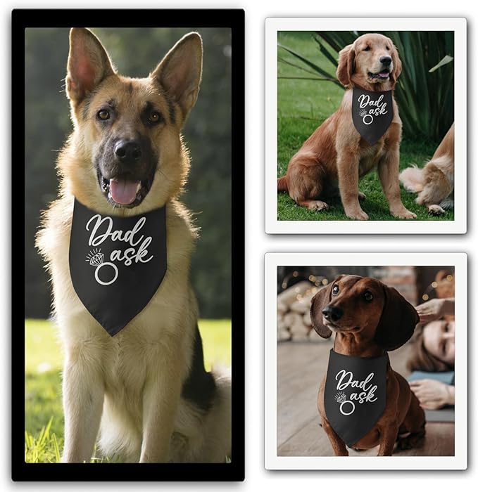 Dad Asked Dog Bandana Engagement Gifts for Couples Announcement Wedding Photo Prop Pet Scarf Accessories for Pet Dog Lovers Gifts