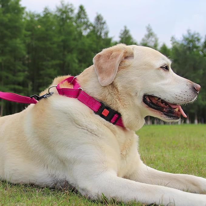 Joytale Martingale Collar for Dogs, Reflective Heavy Duty for Safety, Quick Release Buckle, Adjustable Nylon Collars for Puppy and XSmall Dogs Walking Training, Hotpink,XS