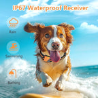 Shock Collar for Dogs, Dog Training Collar with Remote Control for 2 Dogs, 3 Training Modes with Beep, Vibration and Satic, Waterproof, Rechargeable for Large Medium Small