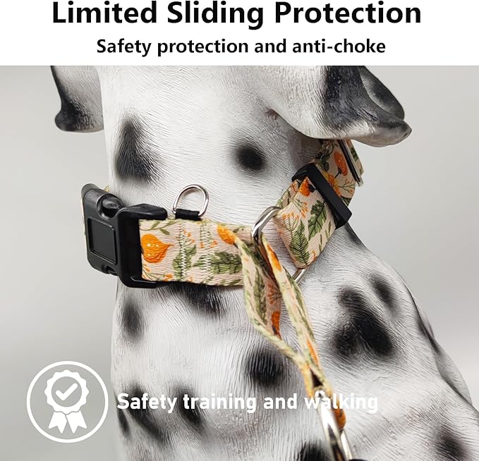 Martingale Collar for Dogs with Buckle Adjustable Nylon Slip No Pull Training Dog Collars (Beige Floral, Small)