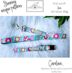 Lucky Love Dog - Adjustable Dog Collar and Leash Set with Easy Click Buckle for Large Ones, Durable, & Comfortable Collar for Male & Female Dogs, Puppies & Adult Dogs - Caroline, XL