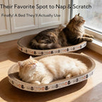 Cat Scratcher Bed with Toys, 2 Pack Oval Cat Scratcher Cardboard, Indoor Cat Scratch Bowl, Large Pad Cat Scratching Board with Catnip Fish Toy & Feather Wand for Furniture Protector