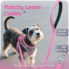 Eagloo Small Dog Harness and Leash Set, Step in Puppy Vest with Breathable Soft Mesh, Walking Reflective Pet Harness for Small Dogs, Pink, XS