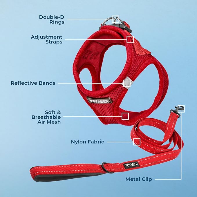 Best Pet Supplies Voyager Step-in Air All Weather Mesh Harness and Reflective Dog 5 ft Leash Combo with Neoprene Handle, for Small, Medium and Large Breed Puppies - Harness Leash Set (Red), XXS