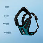 Voyager Step-in Pet Harness - All Weather Mesh, Adjustable Step in Harness for Cats and Dogs by Best Pet Supplies - Turquoise/Black Trim, XL