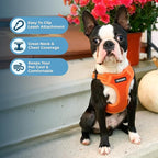 Best Pet Supplies Voyager Mesh Dog Breathable Harness Reflective Stitching, All Weather Adjustable for Walking Training, or Running - Heavy Duty & Durable, Harness (Orange), L