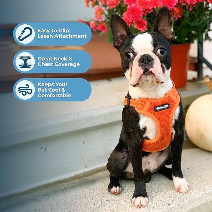 Best Pet Supplies Voyager Adjustable Step-in Flex Breathable Mesh Dog Harness for Small Medium Large Dogs (Orange), M