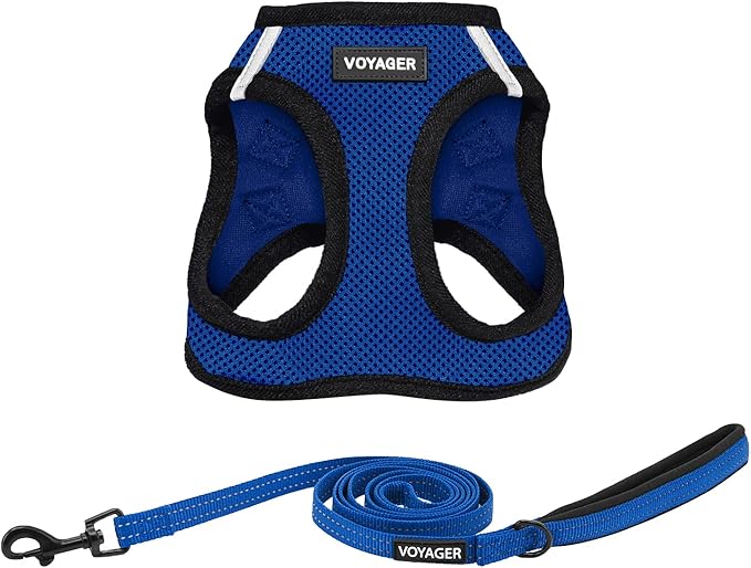 Best Pet Supplies Voyager Step-in Air All Weather Mesh Harness and Reflective Dog 5 ft Leash Combo with Neoprene Handle, for Small, Medium and Large Breed Puppies - Royal Blue/Black Trim, X-Small