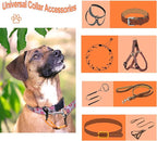 2 Pcs Dog Collar Safety Clips with Double Ended Clasps | Adjustable Collar Backup Clip for Dog Harness & Collars Connectors, Training for Walking, Running, and Hiking, Safety Clip - Orange