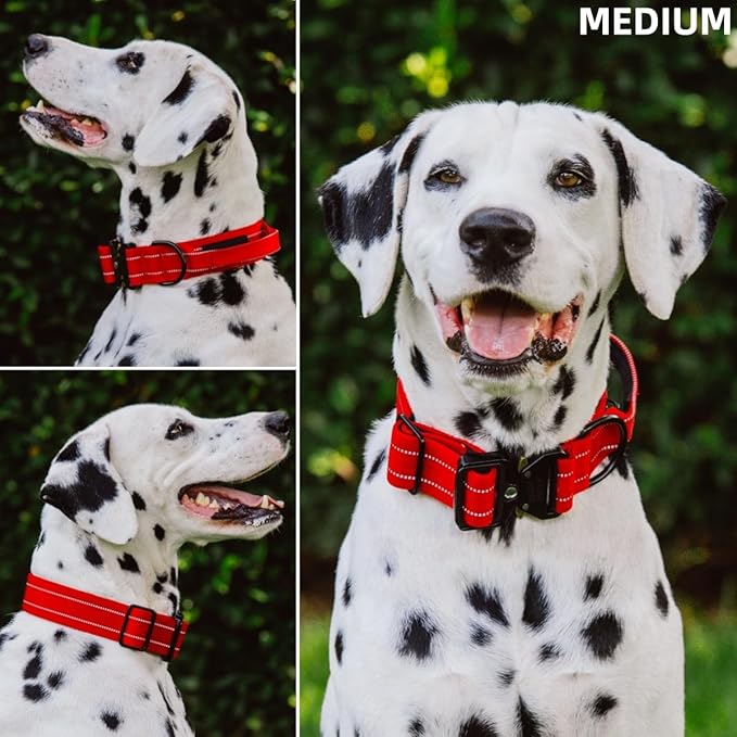Tuff Pupper Tactical Dog Collar with Handle | Heavy Duty Adjustable Dog Collar | Military Nylon Collar for Medium Dogs | Quick-Release Buckle | Soft Padded Comfort | Training Control (Red, Medium)