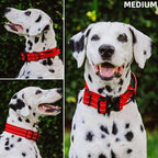 Tuff Pupper Tactical Dog Collar with Handle | Heavy Duty Adjustable Dog Collar | Military Nylon Collar for Medium Dogs | Quick-Release Buckle | Soft Padded Comfort | Training Control (Red, Medium)