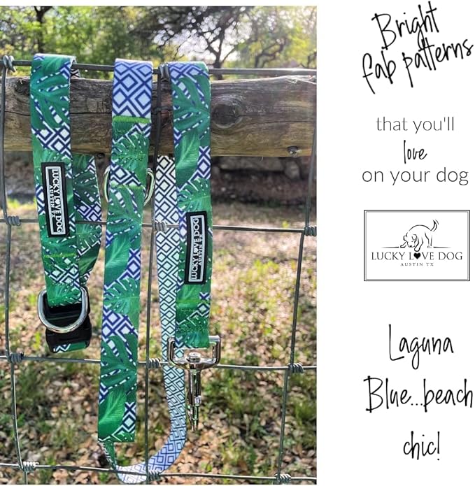Lucky Love Dog Martingale Collar and Leash Set, Premium No Slip Martingale Collar for Medium Boy Dogs, Great for Whippets, Greyhounds, and More (Medium, Blue Laguna - Combo)
