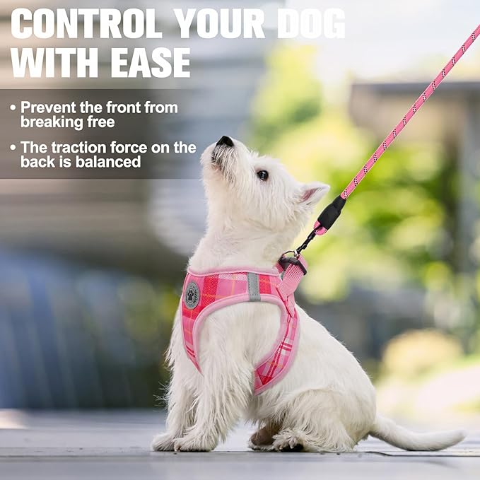 BEAUTYZOO Small Dog Harness and Leash Set, Step in No Choke No Pull Soft Mesh Dog Harnesses Reflective for Small Medium Puppy Dogs and Cats, Plaid Dog Vest Harness for S M Pets, Light Pink S