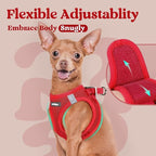 rabbitgoo Small Dog Harness, Step-in Soft Mesh Puppy Vest with Safety Buckle, Breathable Reflective Pet Harness for Small Sized Dogs, Red XS