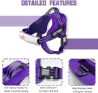AUROTH Dog Harness and Leash Set, Soft Padded Service Dog Vest with 5.25FT Dog Leash, No Choke, Easy On Pet Vest, Adjustable Reflective No Pull Dog Harness for Large Dogs, Easy Walking and Training