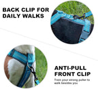 Plutus Pet No Pull Dog Harness, Adjustable Nylon Harness with Soft Padding, Reflective and Heavy Duty Dog Harness for Small, Medium, Large Dogs(Cyan, S)