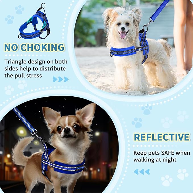 Lukovee No Pull Dog Harness and Leash Set, Soft Padded Small Dog Harness, Neck & Chest Adjustable Reflective Vest Puppy Harness with 4ft Lightweight Anti-Twist Dog Leash for Small Dogs (S, Blue)