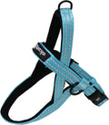 Alcott Norwegian Harness, Blue, Large