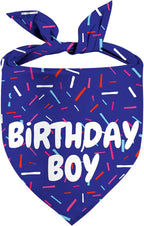 Birthday Boy Dog Bandanas 1 Pack, Blue Birthday Dog Scarfs for Boys, Pet Scarves for Boy HBD Bandanas for Small Medium Large Dogs (Birthday Boy, X-Large)
