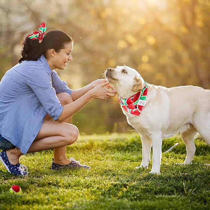 E-Clover Dog Bandanas Summer & Matching Scrunchie Set Dog Bandana Bibs Washable Kerchief Scarf for Small Dogs Puppy & Owner Watermelon