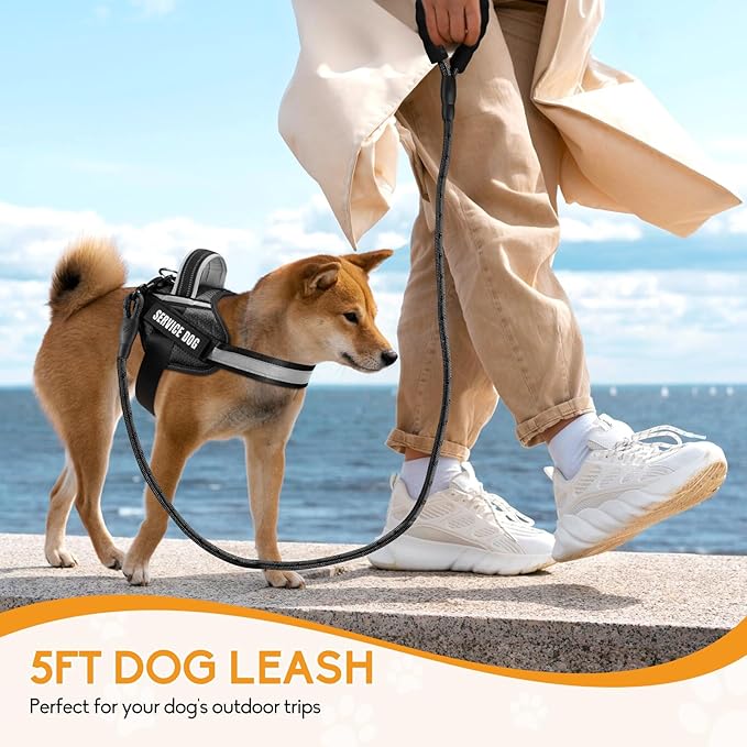 Service Dog Vest Harness and Leash Set, Animire in Training Dog Harness with 10 Dog Patches, Reflective Dog Leash with Soft Padded Handle for Small, Medium, Large, and Extra-Large Dogs